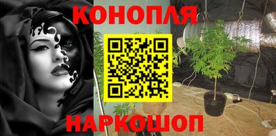прущие крисы Коммунар