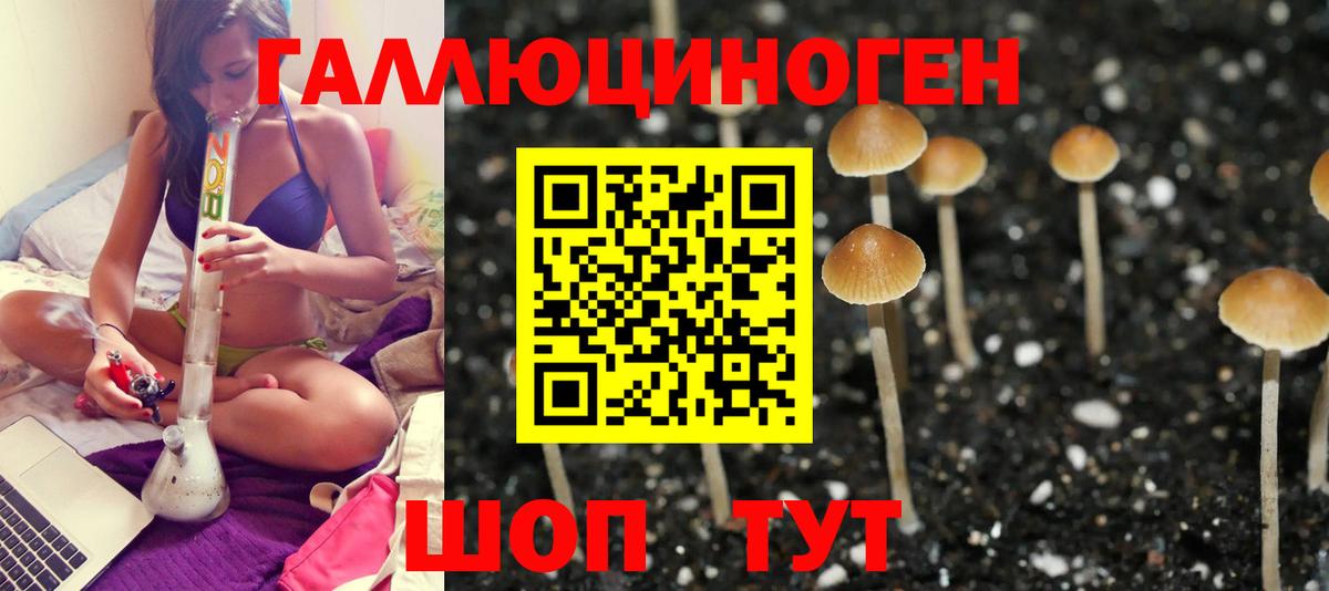 Псилоцибиновые грибы Cubensis  Вход с VPN  Красногорск  Галлюциногенные грибы MAGIC MUSHROOMS 